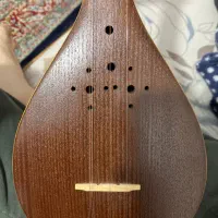 سه تار معتمد