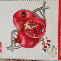 کتاب زیست انار هشتم