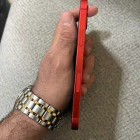 iPhone 12|موبایل|تهران, دردشت|دیوار