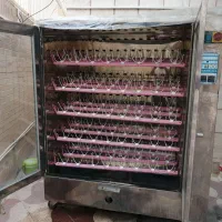 دستگاه جوجه کشی شتر مرغ