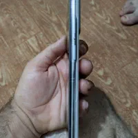 موبایل11tpro|موبایل|تهران, درختی|دیوار