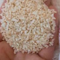 ۲۲کیلو نمیدانه هاشمی|خوردنی و آشامیدنی|رشت, پل تالشان|دیوار