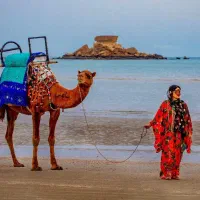 تور قشم هرمز هنگام  همه روزه هوایی ریلی