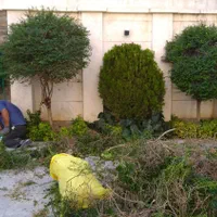 خدمات سیار باغبانی وتمام امورات باغ و باغ شهری|خدمات باغبانی و درختکاری|شیراز, شهرک مدرس|دیوار