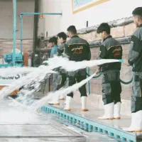 کارگر قالیشویی|استخدام سرایداری و نظافت|قم, قلعه صدری|دیوار