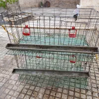 قفس دو طبقه