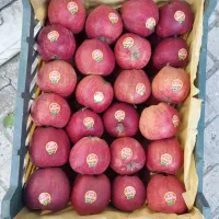 سیب قرمز درجه یک