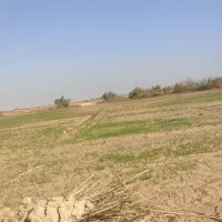 زمین تجاری روبروی جایگاه سوخت شهدای شادگان