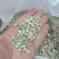 بذر نخود آسگرو