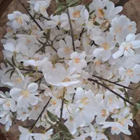 گل و گلدان|گل مصنوعی|دورود, |دیوار