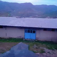 اجاره-گاوداری-صنعتی