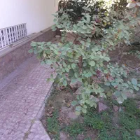 ویلایی 1000 متری مناسب سکونت و مشاغل زیر قیمت|اجارهٔ خانه و ویلا|کرج, فاز ۲ مهرشهر|دیوار