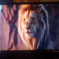 ال ای دی تی سی ال ۴۳اینج|تلویزیون و پروژکتور|ساری, |دیوار