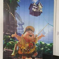 ست فرش و پرده طرح انیمیشن کودک ۴ تومن