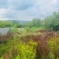 فروش-زمین-340-متری-با-لوکیشن-و-ویوعالی-96