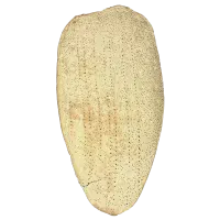 نان خشک تنوری نان