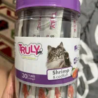 تشویقی بستنی غذای گربه