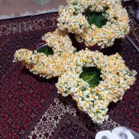 گل نرگس|گل و گیاه طبیعی|معمولان, |دیوار