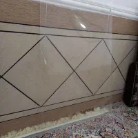 خش گیر تلوزیون