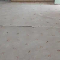 موکت|موکت|بندر ماهشهر, |دیوار