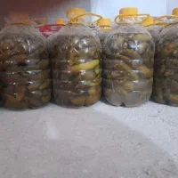 خیارشور بطری