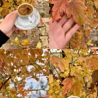 تابلو تصویر