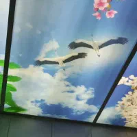 واحد ۷۰  متری کلید نخورده