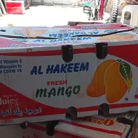 کارتون جا انبه مناسب اساس و جا به جای کفتری