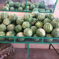پالت میوه فروشی