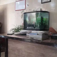 استخدام منشی تاکسی تلفنی