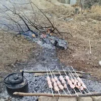 گمشده