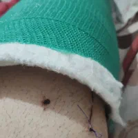 راهنمایی کنید|فعالیت داوطلبانه|مشهد, شهید قربانی|دیوار