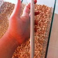 آیپد|تبلت|مشهد, عنصری|دیوار