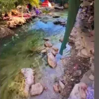 تور گردشگری