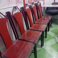 وسایل آرایشگاه|آرایشگاه و سالنهای زیبایی|مشگین شهر, |دیوار