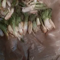 کما