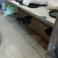 دستگاه نانوایی|ماشین‌آلات صنعتی|رشت, توشیبا|دیوار