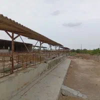 نیروی  متاهل مسلط ب باغبانی( آگهی را کامل بخوانید)