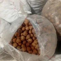 گردو درجه ۱ ایرانی