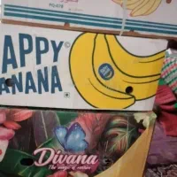 کارتون موزی