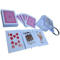 پاسور مینی(زیر قیمت کل بازار)