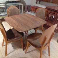 مدل سناتور شرکتی