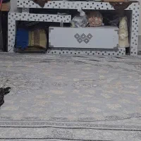 تخت خواب|تشک تختخواب|تهران, جی|دیوار