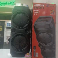 اسپیکر بزرگ ZQs8229w.            Sine-e
