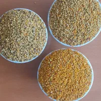 گرده گل|خوردنی و آشامیدنی|تهران, ترمینال غرب|دیوار