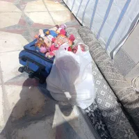 عروسک کیف