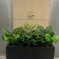 (درخت نخل وارداتی) برگ پهن فلاور باکس درختچه فنیکس|گل مصنوعی|تهران, بروجردی|دیوار