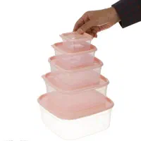 ظروف پنج تیکه|ظروف نگهدارنده، پلاستیکی، یک‌بارمصرف|قم, حنیف نژاد|دیوار