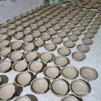 تولید جاسبزه در طرح های مختلف 15سانت و20سانت