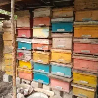 فروش کندو با قاب در شاندرمن